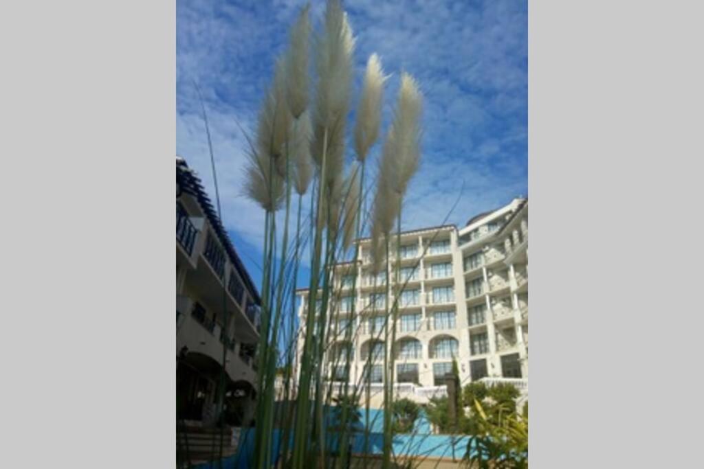 Studio At "The Cliff" Complex South Beach Obzor, Private Appartment A2A5 Eksteriør bilde