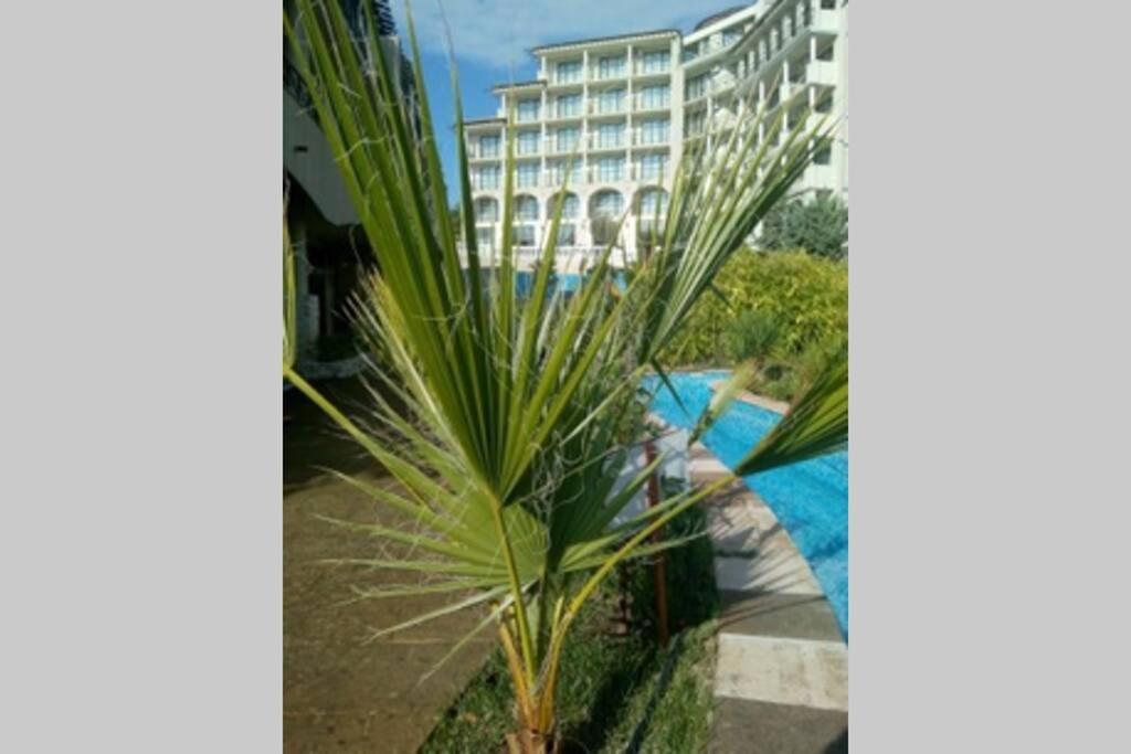 Studio At "The Cliff" Complex South Beach Obzor, Private Appartment A2A5 Eksteriør bilde